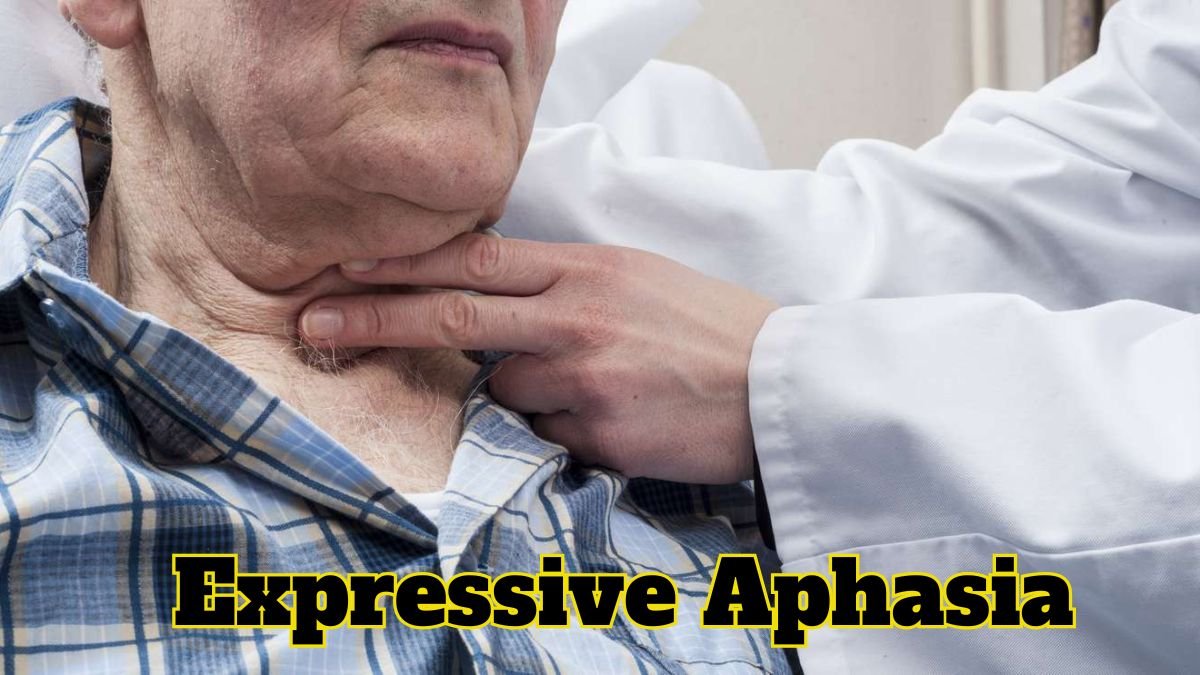 Expressive Aphasia: Causes, Warning Signs & Therapy Techniques