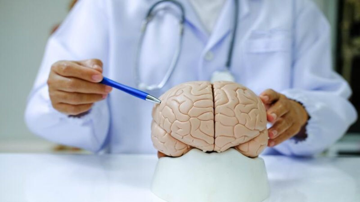 The Future of Neuro Recovery: How Brain Plasticity is Redefining Healing After Injury